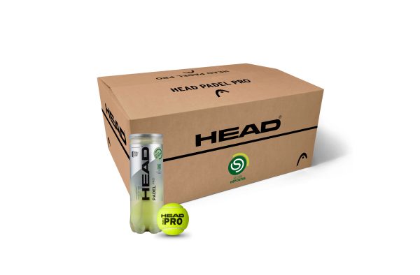 Head Padel Pro Caja de 24 Tubos New