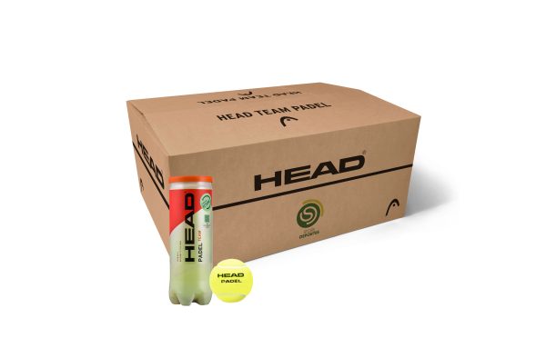 Head Padel Team Caja de 24 Tubos New