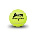 Penn Championship Extra Duty High Altitude Caja 24 Unidades